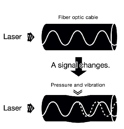 Optical fiber sensor