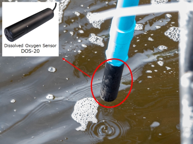 Optical Dissolved Oxygen Sensor DOS-20