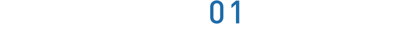 BRAIN*01