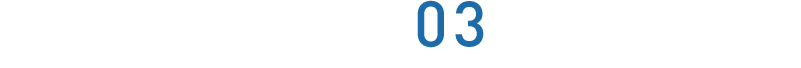 BRAIN*03