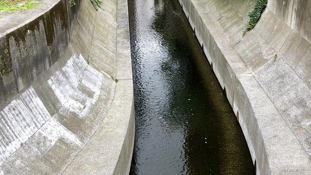 河川付近