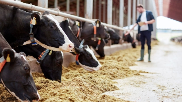 畜産業の環境問題『スマート畜産で水質汚染を監視』