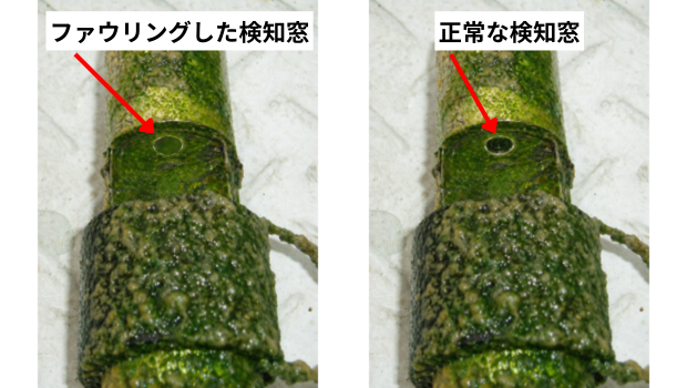 汚れや藻が付着（ファウリング）した検出窓と正常な検出窓の比較画像