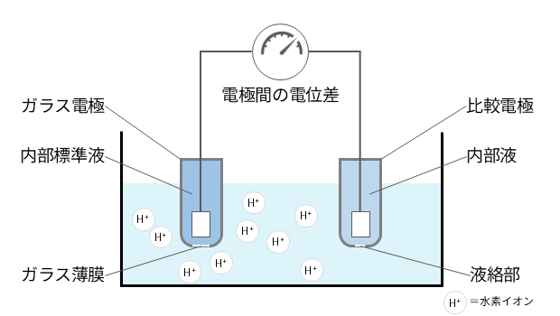 ガラス電極と比較電極を用いて水中の水素イオン濃度を測定するpH計の測定原理のイメージ図