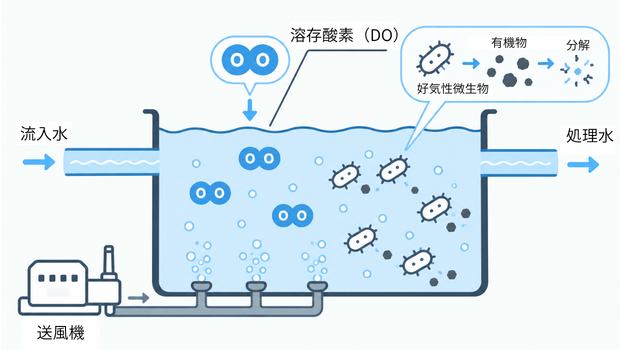 好気性微生物が溶存酸素を利用して有機物を分解する曝気槽のイメージ図