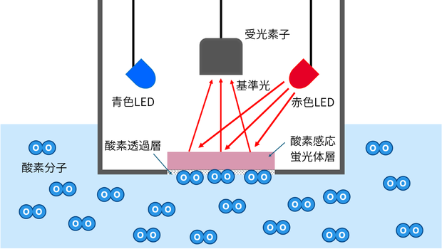 蛍光式溶存酸素センサーで赤色LEDの基準光を照射し、受光素子で反射光を検出する原理図